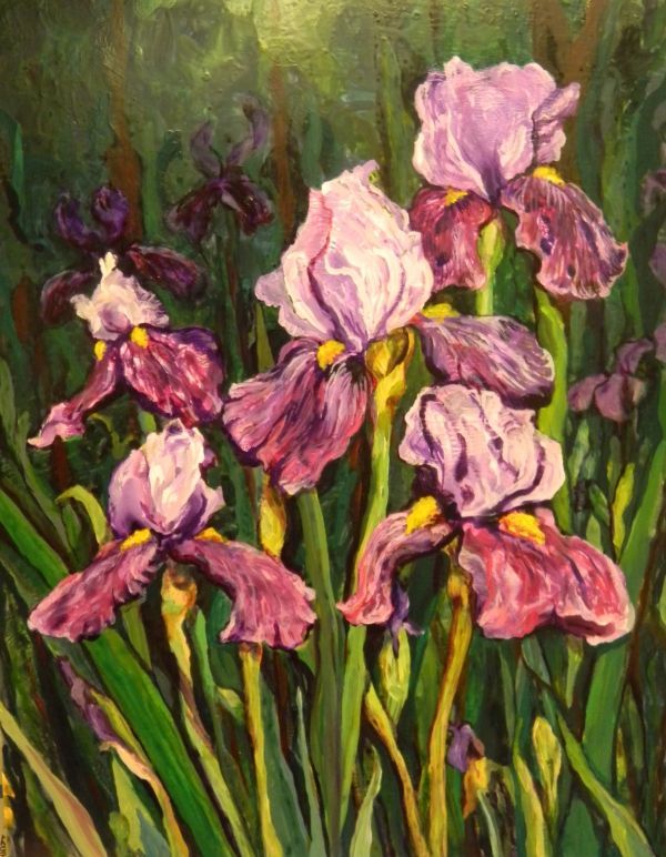 Irises