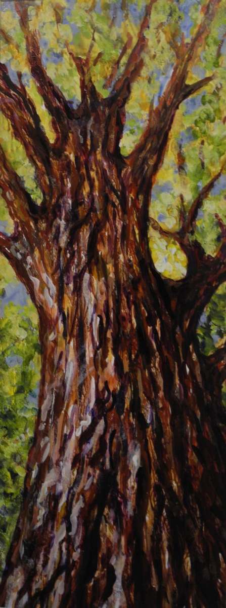 Arrowmont Tree