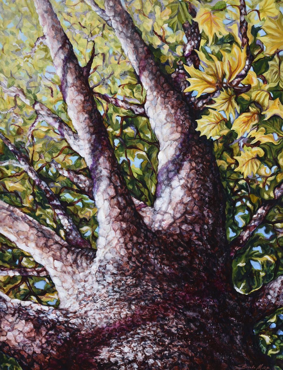 The-Mighty-Sycamore-for-web